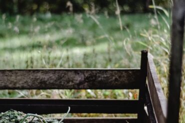 Jardinage écologique : méthodes naturelles et économies concrètes