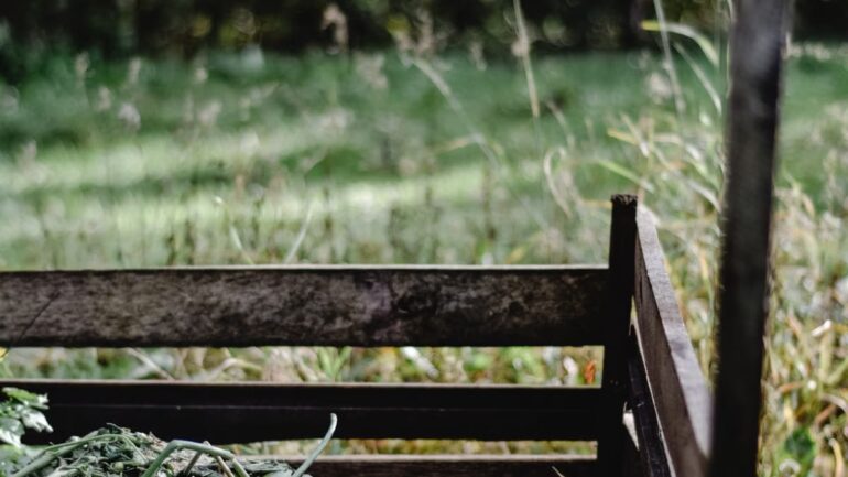 Jardinage écologique : méthodes naturelles et économies concrètes